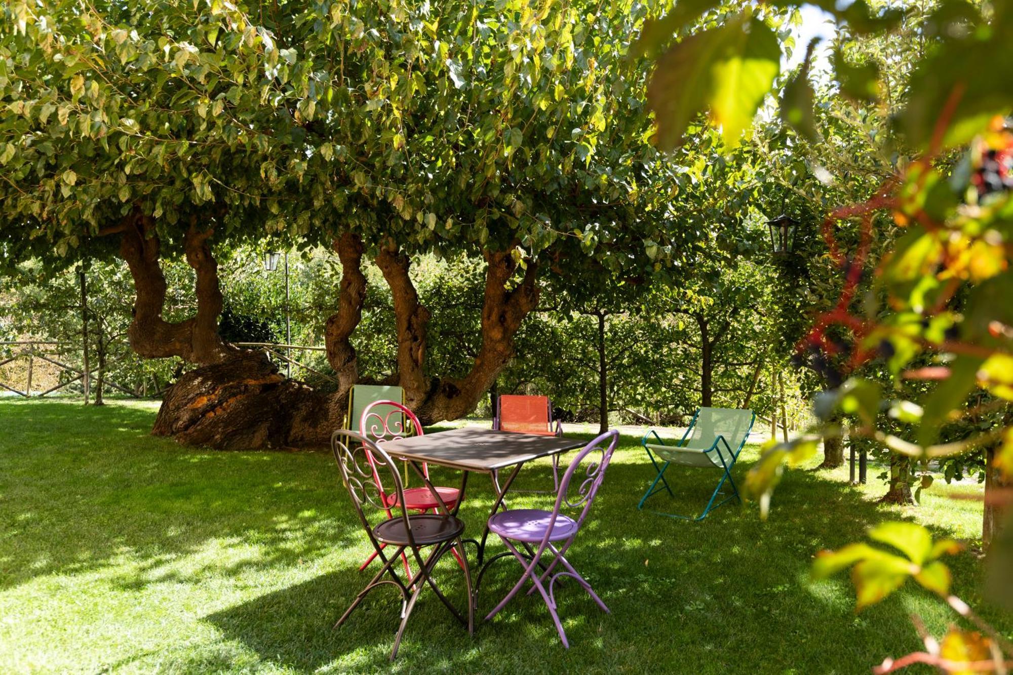 Agriturismo I Gelsi Di Santa Cristina Gubbio Exterior foto